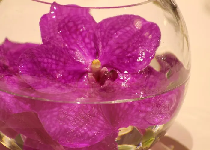 מלון Casa Boyana Boutique 5*