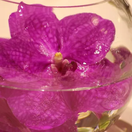 Hotel Casa Boyana Boutique 5*